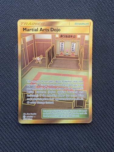 Pokémon tcg martial - arts, dojo